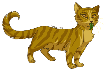 What was the sign that Starclan sent to Mudfur, signifying that Mothwing was the right cat to be Medicine Cat for Starclan?