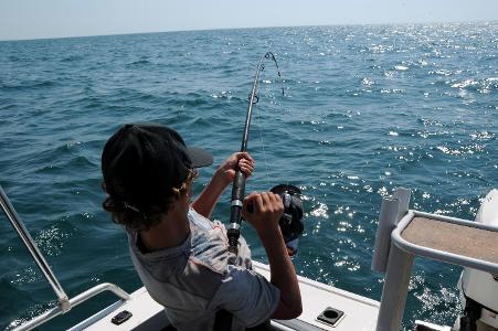 What is a top-mounted rod holder used for on a fishing boat?