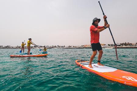 What is the general shape of a paddleboard?