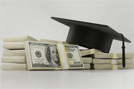In the United States, what is the name of the federal student loan program for undergraduate and graduate students?