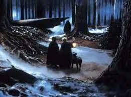 What type of magical creature came to Harry's rescue in the forbidden forest in Harry Potter and the Philosophers Stone?
