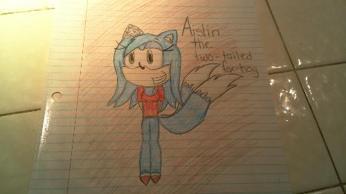 "H-hello?" you ask. The crying stops. "W-w-who's there?" you ask. "Show yourself!" you demand, still nervous. The person steps out of the dark, its a blue hedgehog/fox with two white-tipped tails and one mechanical ear and another mechanical arm. She was wearing a red shirt, blue pants, shoes like Tail's except with red on the tip and black biker gloves. You see clearly she's been crying.