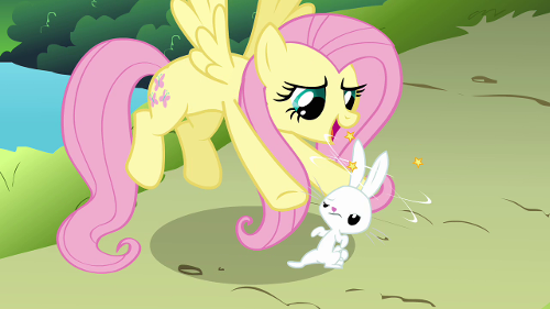 What is the name of Fluttershy's pet?