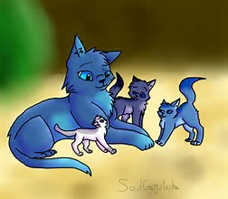 Question two; Who are Bluestar's kits