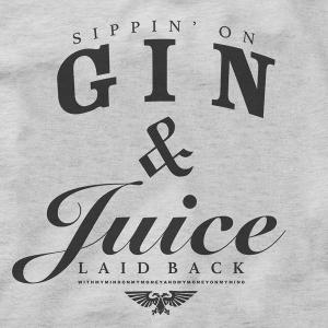 Now Some Songs   Who sang the song *Gin and Juice*