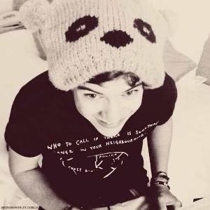 What is Harry's favourite animal?