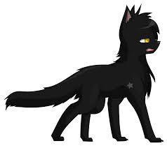 The cat on the other side of Nightshade was all gray, and she said "Yes, we do. What shall we do, Nightshade?" "Well, Grayclaw," Nightshade began. "We may have to...kill the intruder. But before that, what Clan are you from?" Nightshade asked you. And you replied