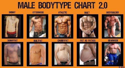 Which Body type do you like better?