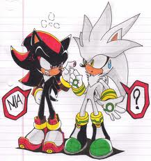 Next person is...Silver!! *Silver* "Hello there ladies!! Which one of you will be lucky enough to go out with me! ;) How about you gorgeous!" *Shadow* "Silver just ask them a question or I will make you a barbequed hedgehog!" *Silver* YICKS! Alright Mr. Scary! I LOVE pickup lines! What pickup line would you use on me?