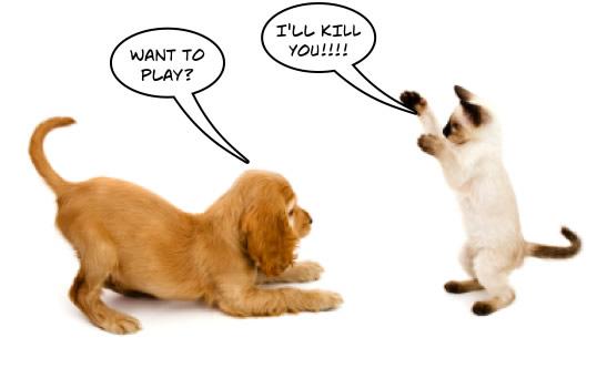do you always solve problems? (onley you)