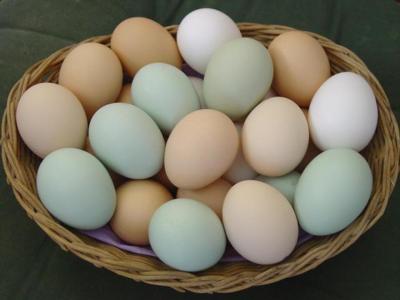 Some chickens can lay ____ and _____ colored eggs.