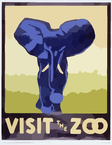 At your local zoo, your favorite animal/section is . . .
