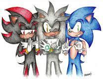 "Hi!", the silver one says enthusiastically. " I'm Silver, and this is Sonic", pointing at the blue hedgehog, "and this is Shadow", pointing at the black and red hedgehog. " Hi" they both say.