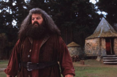 Hagrid's giant half-brother was named: