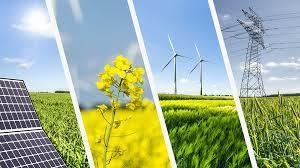 what do you think about renewable energy?
