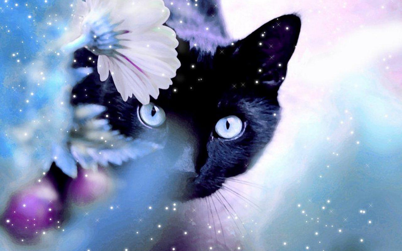 Do you like flowers