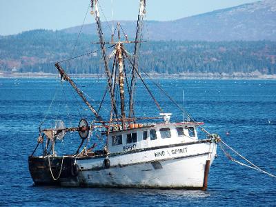 Which of the following boats is NOT typically used for commercial fishing?