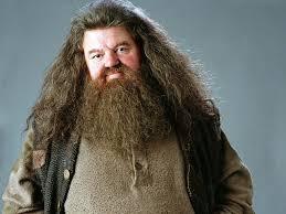 What is Hagrid's first name