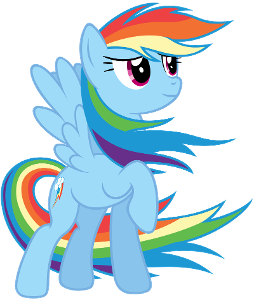 What pet does Rainbow Dash get?