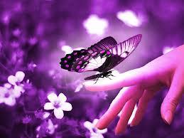 What would you do if you saw a butterfly on your finger?