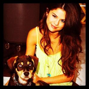 What is Selena Gomez new puppy name?