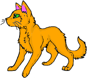What was Fireheart(star)'s kittypet name?