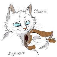 Wich of theese is related to Brightheart?