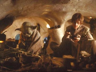 What did Yoda cook for Luke in the Empire Strikes Back?