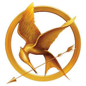 Did you like the questions that I asked about the hunger games?