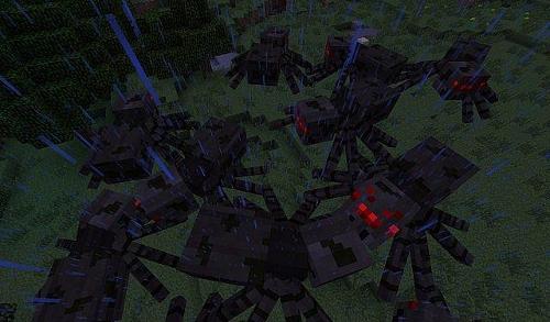 How many spiders are there