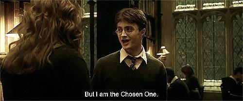 Who did you go to the Yule Ball with?