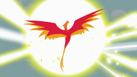 If you look at this picture below you might notice that this phoenix might seem familiar to you. Do you know who she is?