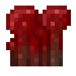 Where can nether wart be Originally found?