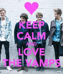 Which song do I like better? Somebody to you or High Hopes by The Vamps?