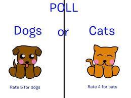 Dogs Or Cats?