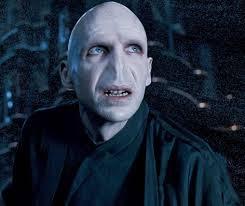 WHICH WELL KNOWN BRITISH ACTOR PLAYED VOLDEMORT WHO FIRST APPEARED IN HARRY POTTER AND THE GOBLET OF FIRE PLAYING A VERY EVIL DARK WIZARD WHO IS DETERMINED TO HUNT DOWN HARRY POTTER AND KILL HIM?