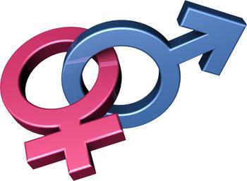 what is your gender?