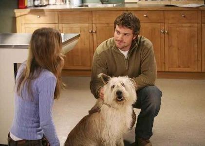 What was the name of Meredith's dog?