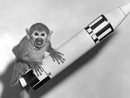 What was the the monkey who went into space called?