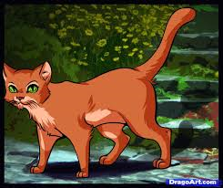 RP time! You are on a border patrol, and you see a cat from a different clan on your territory, what would you do?