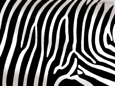 What pattern does a Zebra have?