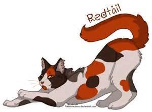 redtail is injured and riverclan left what do you do?