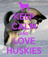Now... this is a personal question and really simple.. so only 3 answers is going to be availible here.  How do you feel about huskies?