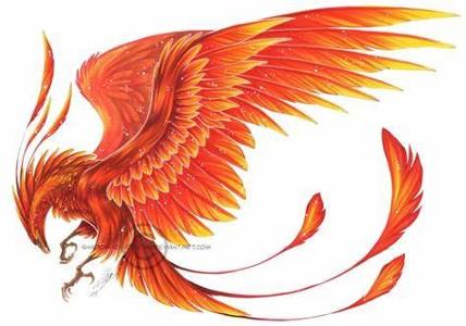 What is a phoenix known for?