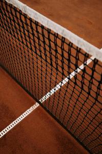 Which surface is known as the 'clay court' in tennis?