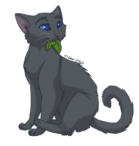 What Does Cinderpelt Say Will Make Leafpaw A Great Medicine Cat One Day?