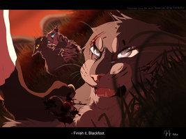Why did Tigerstar want to kill Stonefur? He is ___