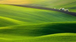 What is your ideal place to live?