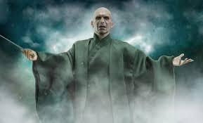 Voldemort's nicknames? Choose 2.
