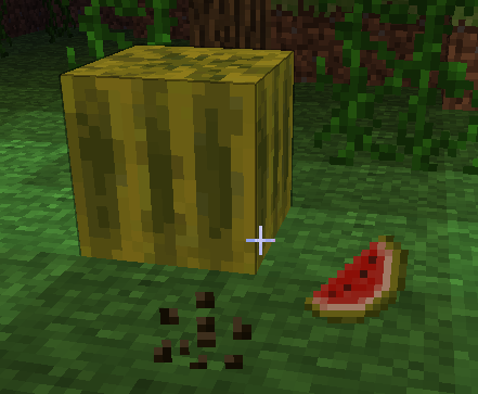 How Well Do You Know Minecraft? (4) - Scored Quiz
